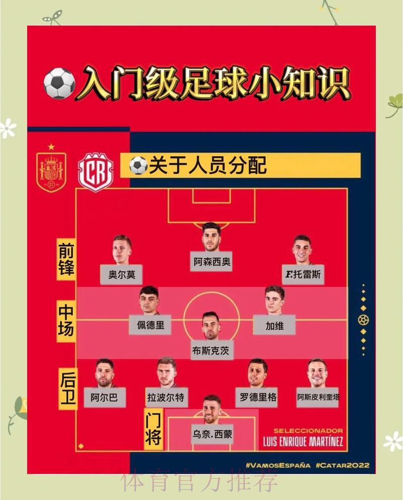 世界杯赛事比分官方入口地址详解与使用指南